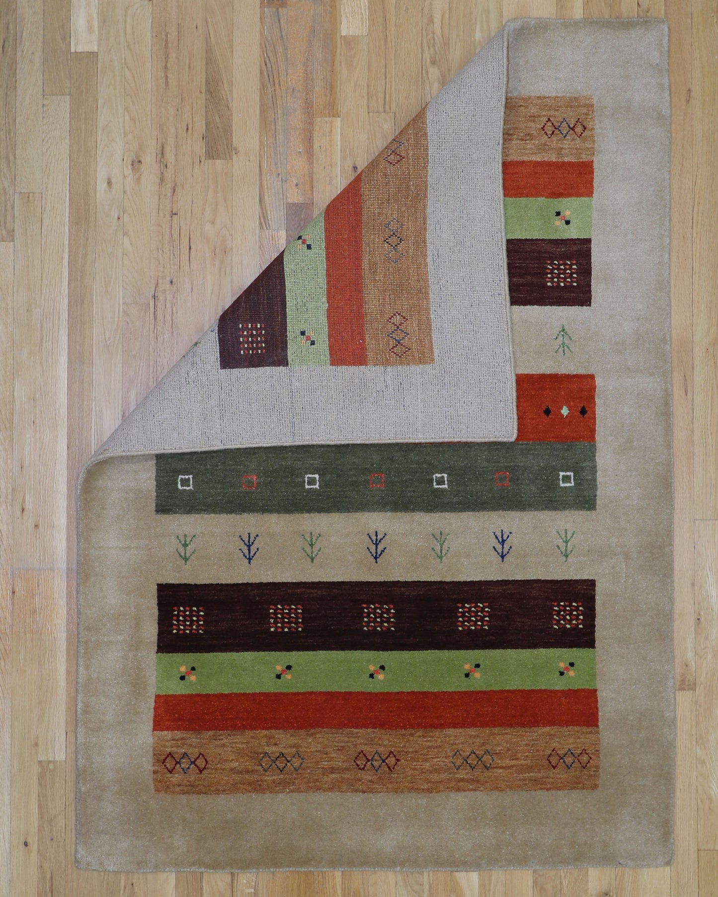 Fine Gabbeh 4'2 x 6' Hand Knotted Wool Area Rug India